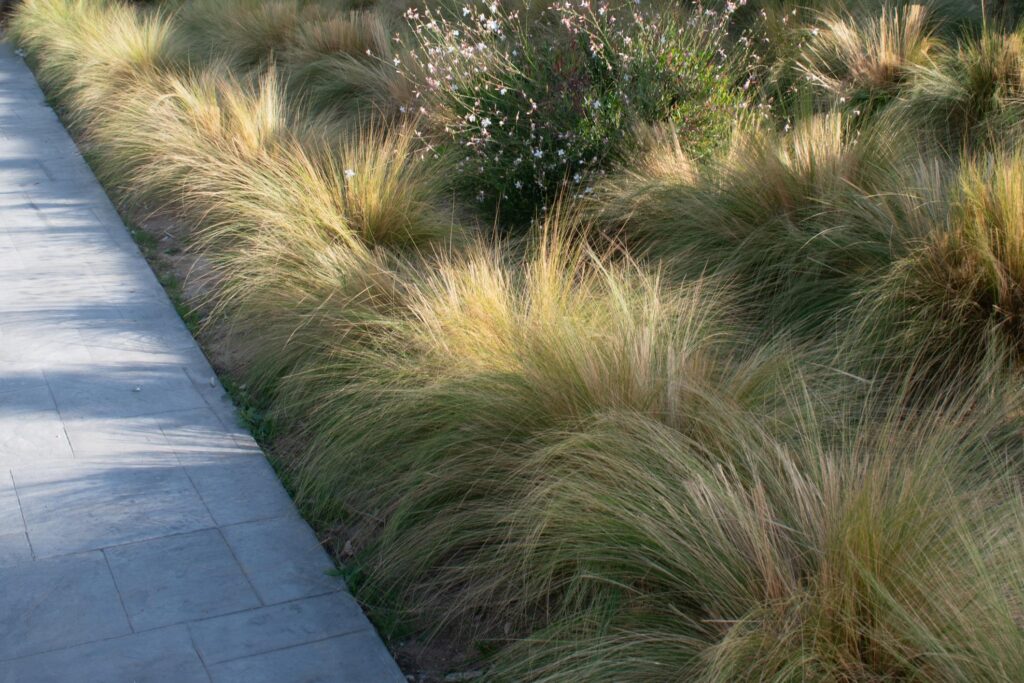 GREEN THUMBS UP FOR THESE EPIC SUMMER 2026 GARDEN TRENDS img 4418